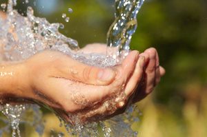 Photo / Thinkstock