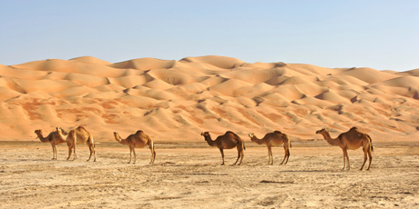 The Mastaba, made out of 410,000 multicoloured oil barrels, is planned for what Christo describes as a "spectacularly beautiful" desert landscape. Photo / Thinkstock