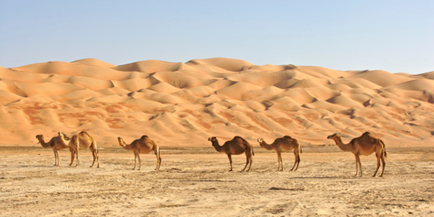 The Mastaba, made out of 410,000 multicoloured oil barrels, is planned for what Christo describes as a "spectacularly beautiful" desert landscape. Photo / Thinkstock