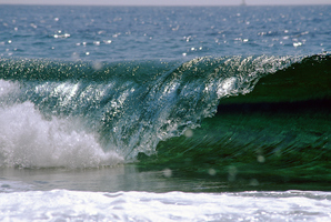Photo / Thinkstock
