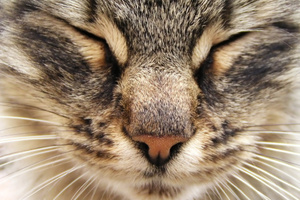 File photo / Thinkstock