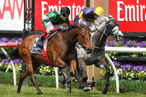 Mackinnon Stakes winner Alcopop (outer) will chase more group one glory in Hong Kong. Photo / Getty Images