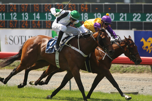 Rollout The Carpet (rails) might have injured her knee in the win over Waterford at Riccarton. Photo / Getty Images