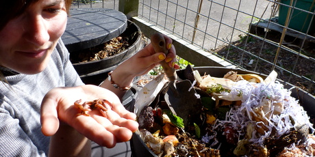 By filtering your kitchen scraps through worms, you reduce your throwaway waste as you enrich your garden's growing power. Photo / Meg Liptrot