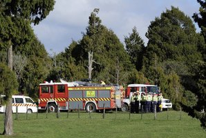 Fire crews were kept busy attending three blazes. Photo / George Novak