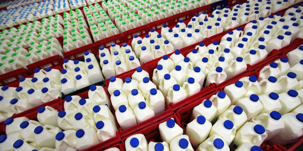Crates filled with bottles of milk sit in a chiller prior to loading for shipment at the Fonterra factory in Takanini, Auckland. Photo / Christine Cornege.