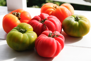 Plant different varieties of tomato to get a longer harvest. Photo / The New Zealand Listener