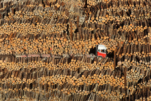 Some exporters expect a better year, but the high value of the dollar is a problem. Photo / Alan Gibson