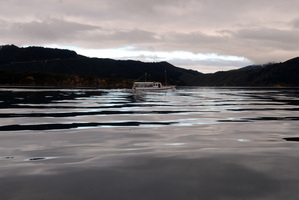 Queen Charlotte Sound. File photo / NZPA