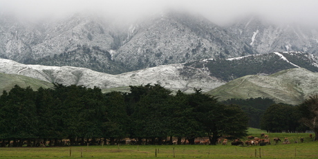 New Zealand is blessed with an abundance of arable land, water, know-how. Photo / Dannevirke News