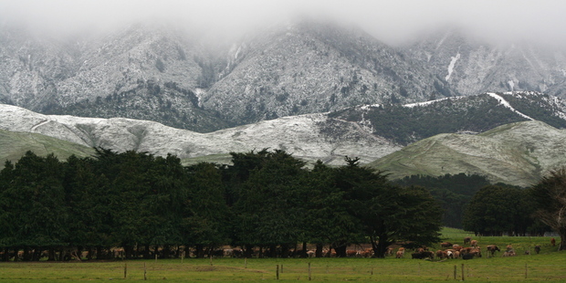 New Zealand is blessed with an abundance of arable land, water, know-how. Photo / Dannevirke News