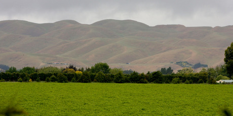 Rolling hills over the Hawke's Bay region. Photo / Glenn Taylor