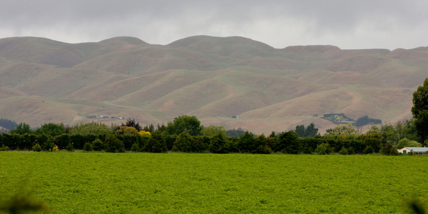 Rolling hills over the Hawke's Bay region. Photo / Glenn Taylor