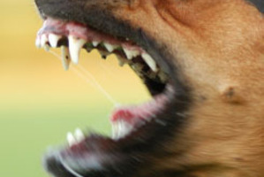 File photo / Thinkstock