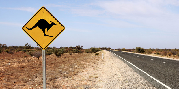 Photo / Thinkstock