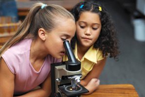 Planning to interest primary school children in science and technology would be a useful strategic initiative in securing eventual engineering graduates. Photo / Thinkstock