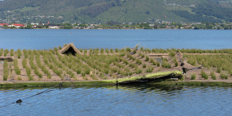 The project is a partnership among the Rotorua District Council, Bay of Plenty Regional Council and Te Arawa lakes Trust. Photo / Daily Post