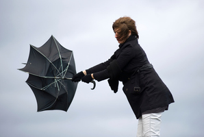 Photo / Thinkstock