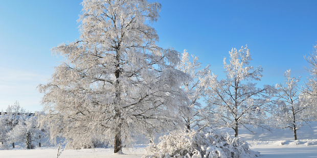 Santa receives visitors all year in Finland's Lapland region. Photo / Thinkstock
