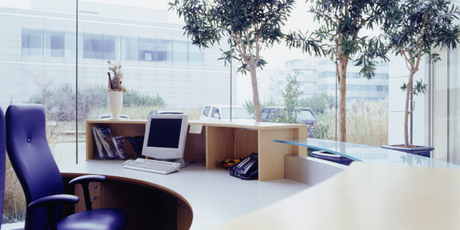 Plants can act as a great visual barrier, giving you less distractions which will then increase productivity. Photo / Thinkstock