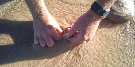 Beachworms lie in the wet sand, waiting to be tempted out by tasty morsels of burley. Photo / Thinkstock