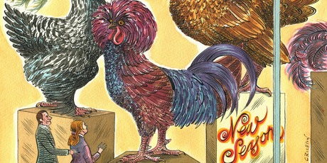 Illustration / Anna Crichton
