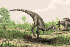 An artist's rendering of Nyasasaurus parringtoni and the arm bone with its distinctive bone fibres. Illustration / Mark Whitton
