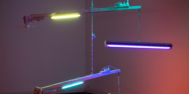 Field Emissions by Ross Manning at Starkwhite. Photo / Natalie Slade