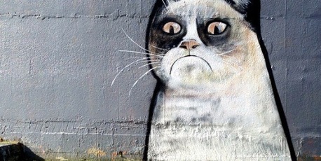 Kate has spotted a magic bit of graffiti art that has appeared in the local dog park in Three Kings, Auckland. "It's a portrait of the internet meme 'Grumpy Cat' looking not too happy about being around all these dogs," she writes. Grumpy Cat is a nickname given to an angry looking snowshoe cat who became famous after its pictures were posted online. Photo / Supplied
