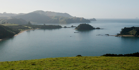 Views at Walter C Mountain Landing that overlooks Wairoa Bay on the Purerua Peninsula in the Bay of Islands. Photo / Greg Bowker