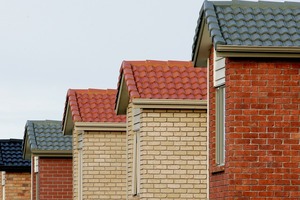 Households are turning to eco-friendly products in increasing numbers. Photo / Chris Skelton