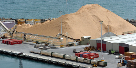 Wood pulp prices rose 3 per cent in November. Photo / Ross Setford