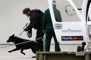 Members of the armed offenders squad and a dog and handler were choppered north from Whangarei after the alleged kidnapping. Photo / Michael Cunningham