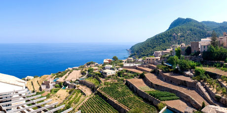 Spain has a lot of muscle when it comes to wine production with the most land planted vines in the world. Photo / Thinkstock
