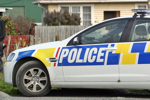 A 16-year-old girl is recovering after being attacked by a group of men in a Flaxmere park. Photo / File photo
