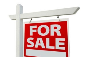 Photo / Thinkstock
