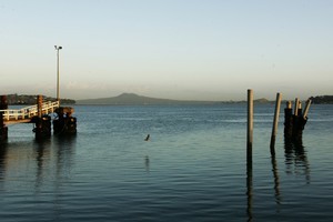 The Tamaki Estuary seen from the Half Moon Bay Marina. Photo / The Aucklander