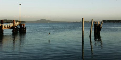 The Tamaki Estuary seen from the Half Moon Bay Marina. Photo / The Aucklander