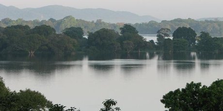 Sri Lanka's tranquil Kandalama Lake as seen from the Heritance Kandalama hotel. Photo / Jill Worrall