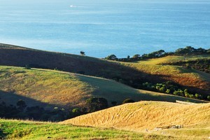 Shakespear Regional Park. Photo / Supplied