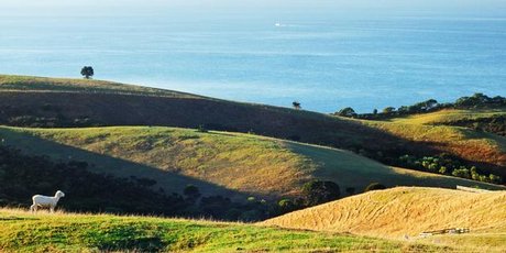 Shakespear Regional Park. Photo / Supplied