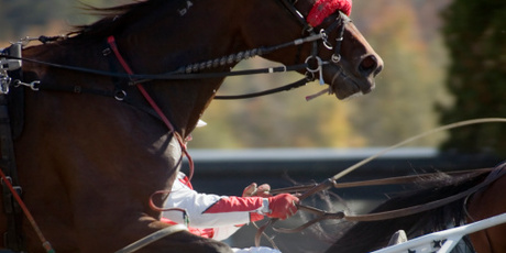 A jockey was thrown from her mount as riders tried to navigate their horses through the 14 cones left on the track. Photo / Thinkstock