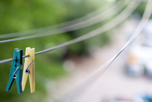 Photo / Thinkstock