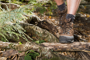 Photo / File / Thinkstock
