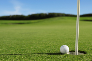The final standings see Auckland square off with Bay of Plenty in the first semifinal and Wellington will battle with 2008 champions Waikato in the second semifinal. Photo / Thinkstock