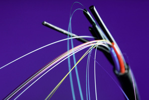 Photo / Thinkstock