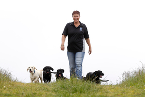 Founder Julie Hancox says there's a long waiting list for assistance dogs. Photo / Christine Cornege