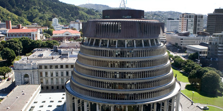 Resource Management Reform Bill, introduced to Parliament last week, restated the Government's original intent about the way councils interpreted tree protection rules. Photo / Mark Mitchell