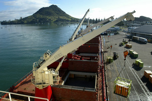 Port of Tauranga has a readily expandable infrastructure. Photo / Alan Gibson