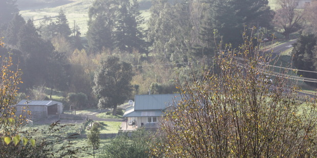 The rural property market was given a boost by lifestyle farm sales last month. Photo / Christine McKay